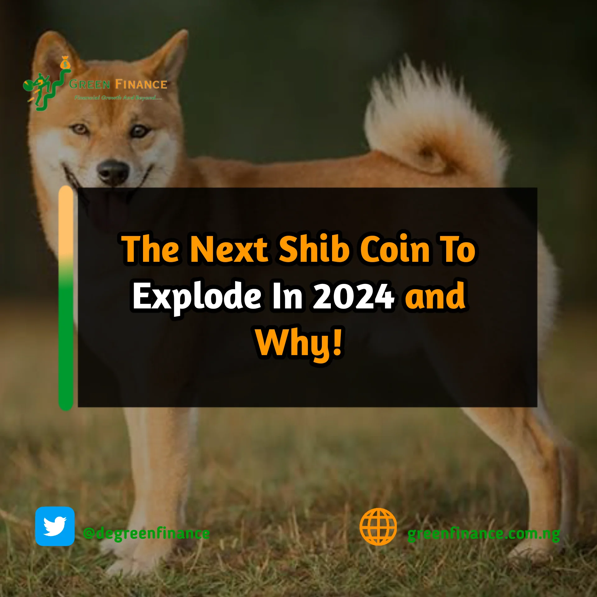 Next Shib Coin