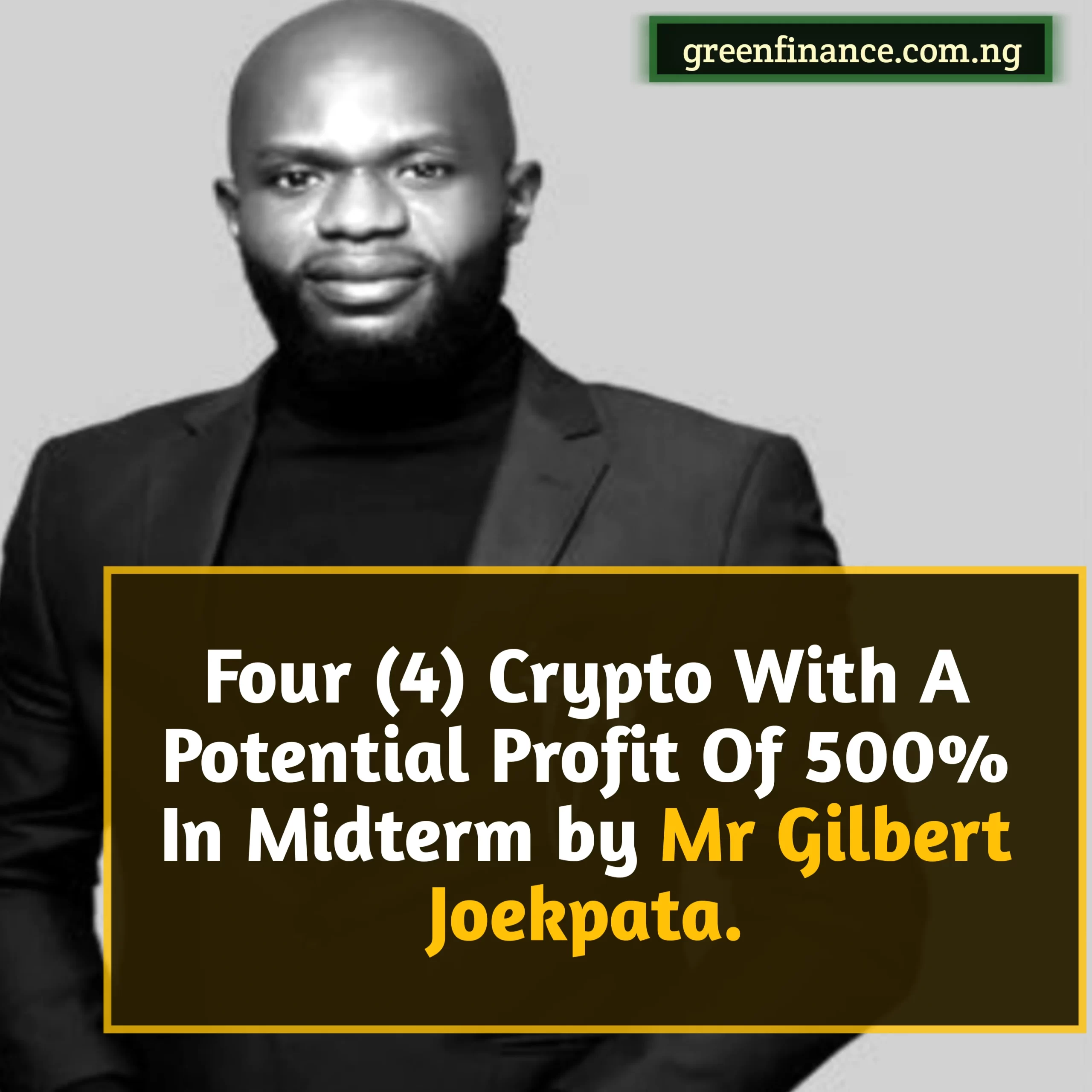 Famous Financial Analyst, Mr. Gilbert Joekpata